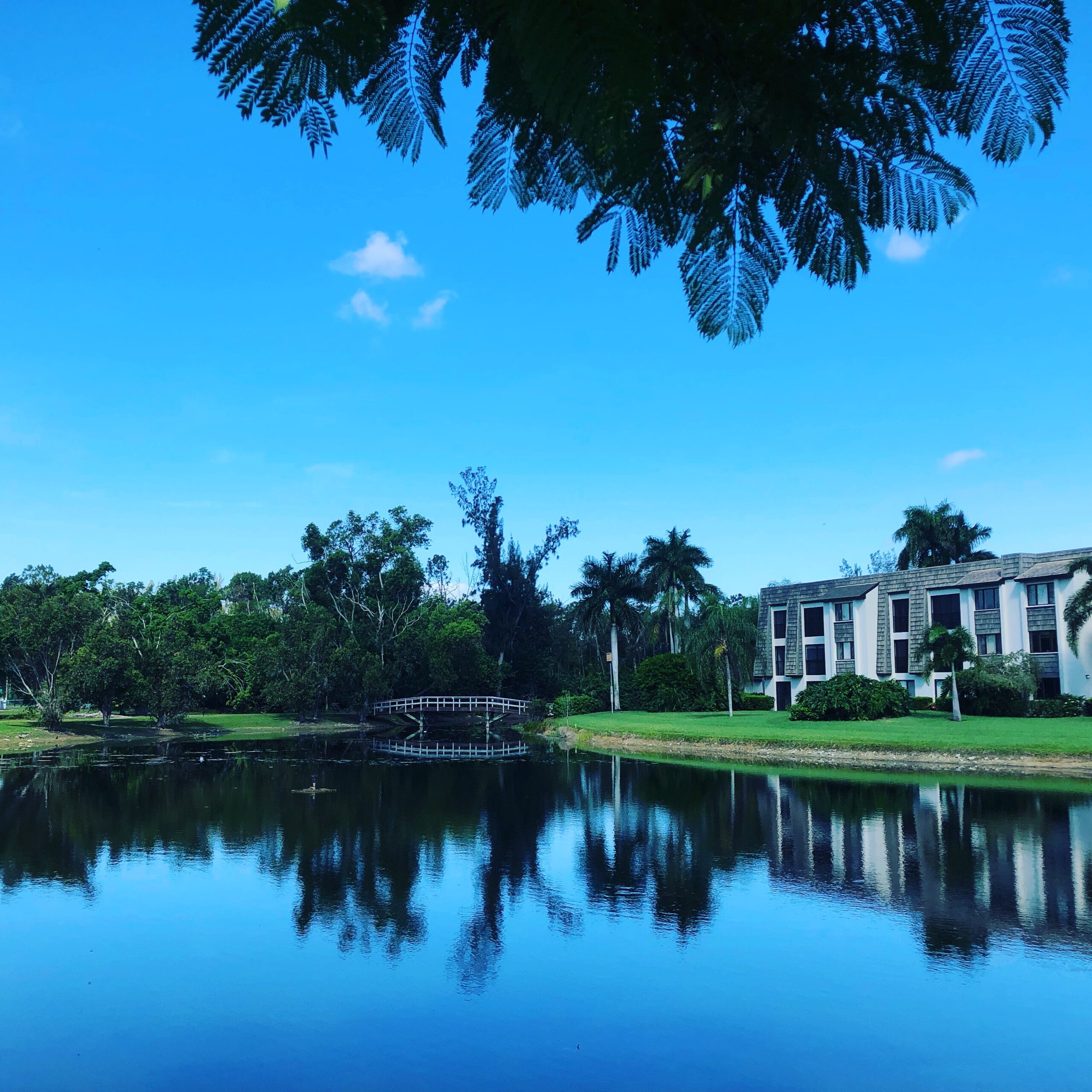 BDF854C4-055D-4897-B349-E899EE13B334